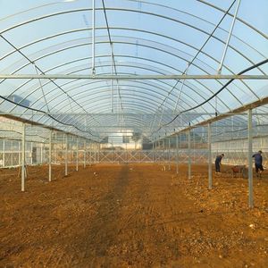 Struttura per Serre Multi-Campata in Film Plastico 2025 per Coltivazione di Ortaggi - Product Image 6