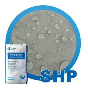 Agent hydrophobe additif chimique de poudre hydrophobe de silicone de SHP pour les systèmes basés sur ciment de mortier de sec-mélange