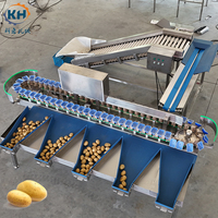 Automatische doosvormige aardappelgewichtsorteermachine voor voedselverwerkingsfabrieken met toevoerelevator en PLC-kerncomponenten