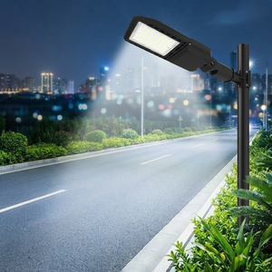 Lampadaire LED en aluminium 100W AC IP65 avec cellule photoélectrique, température de couleur réglable, application routière, utilisation extérieure LD-JR2-100w Alum - Product Image 1