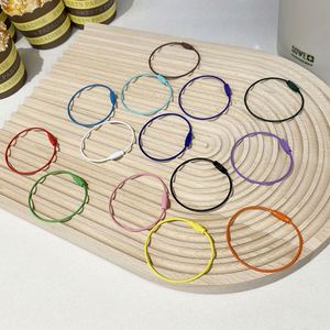 Colorful Coated Eco-Friendly Stainless Steel Wire Cable Keychain with Locking Key Ring and Rope - Product Image 2