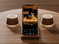 KUANGXIANG Haut-parleur magnétique portable Blue-tooth-Mini haut-parleur extérieur/salle de bain/salon avec support réfrigérateur et son surround