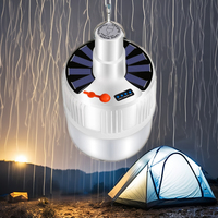 Étanche LED charge économie d'énergie ampoule lumière solaire alimenté LED d'urgence Camping lampe cadre marché de nuit suspendu en plein air