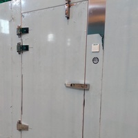 Panneaux d'isolation PU PIR chambre froide industrielle stockage de fruits refroidisseurs de plain-pied en vente congélateur extérieur de plain-pied