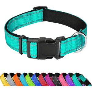 Pwod Reflective <b>Dog</b> <b>Collar</b> Medium Adjustable Nylon With Buckle For Medium <b>Dogs</b> Teal - Product Image 1