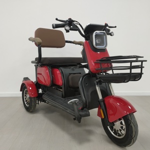 2-seater <strong>Adult</strong> Electric <strong>Tricycle</strong> Equipped with 48V500W Lead-acid Battery Available During peak Hours in the Morning and Evening - Product Image 4