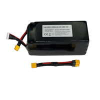 OEM&ODM 22000mAh 6S 8S 10C 300wh/kg LIPO Tamamen Katı Hal Bataryası 3.95V Hücre Yüksek Enerji Yoğunluğu Drone RC Helikopter için