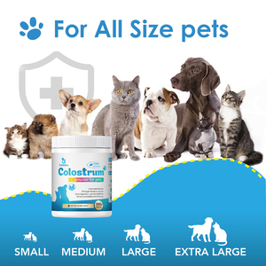 Suplemen nutrisi bubuk susu Bovine Colostrum untuk kucing kecil anjing Fed sapi Selandia Baru dari 100% rumput - Product Image 6