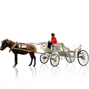 Royal white Sightseeing Victoria horse carriage for wedding/Electric horse carriage wagon/electric Horse Drawn Carriage