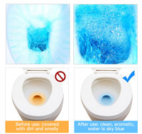 Bloc Nettoyant WC Personnalisable avec Votre Logo, Désodorisant pour Tapis de Sol de Salle de Bain, Élimine les Taches et les Odeurs, Gel Nettoyant pour Urinoirs et Toilettes