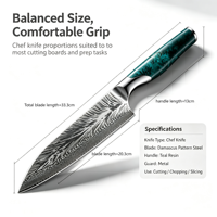 67-laags Damascus VG10 staal koksmes Santoku-stijl groentenmes huishoudelijk vleesmes professioneel keukenmes