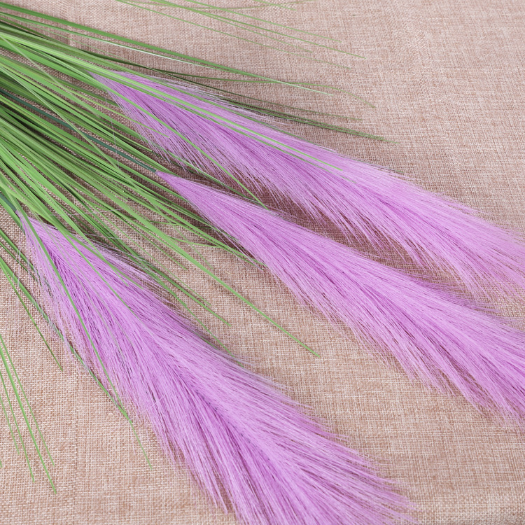 3 roseaux, violets