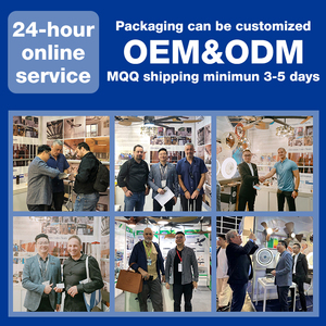 Sản Phẩm Mới Trang Chủ Trang Trí 52 Inch ABS 5 Lưỡi Lá Cọ Hộ Gia Đình Điều Khiển Từ Xa BLDC Quạt Trần - Product Image 5