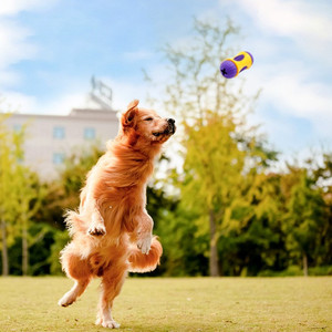 Jouet durable en caoutchouc pour chiens, distributeur de friandises, jouet à mâcher pour le nettoyage des dents, jouet interactif à distribution de nourriture pour animaux de compagnie, pour chiens de taille moyenne à grande - Product Image 1