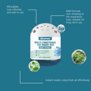 Scatola Magica per Purificazione dell'Aria Interna Rimozione Polvere Profumo Naturale di Menta Deodorante a Lunga Durata Assorbe Odori Deodorante per Ambienti Domestici - Product Image 2
