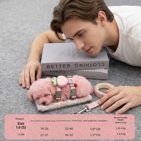 Laisse de mode pour chat avec jouet en peluche monté au dos et design mignon, chaîne en I fraise pour petits chiens/chats - Promenades en extérieur