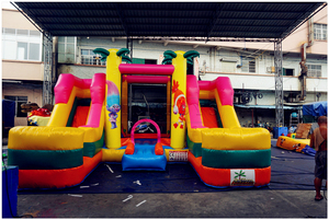 Toboggan aquatique gonflable đổ sử dụng thương mại ET domestique - Product Image 2