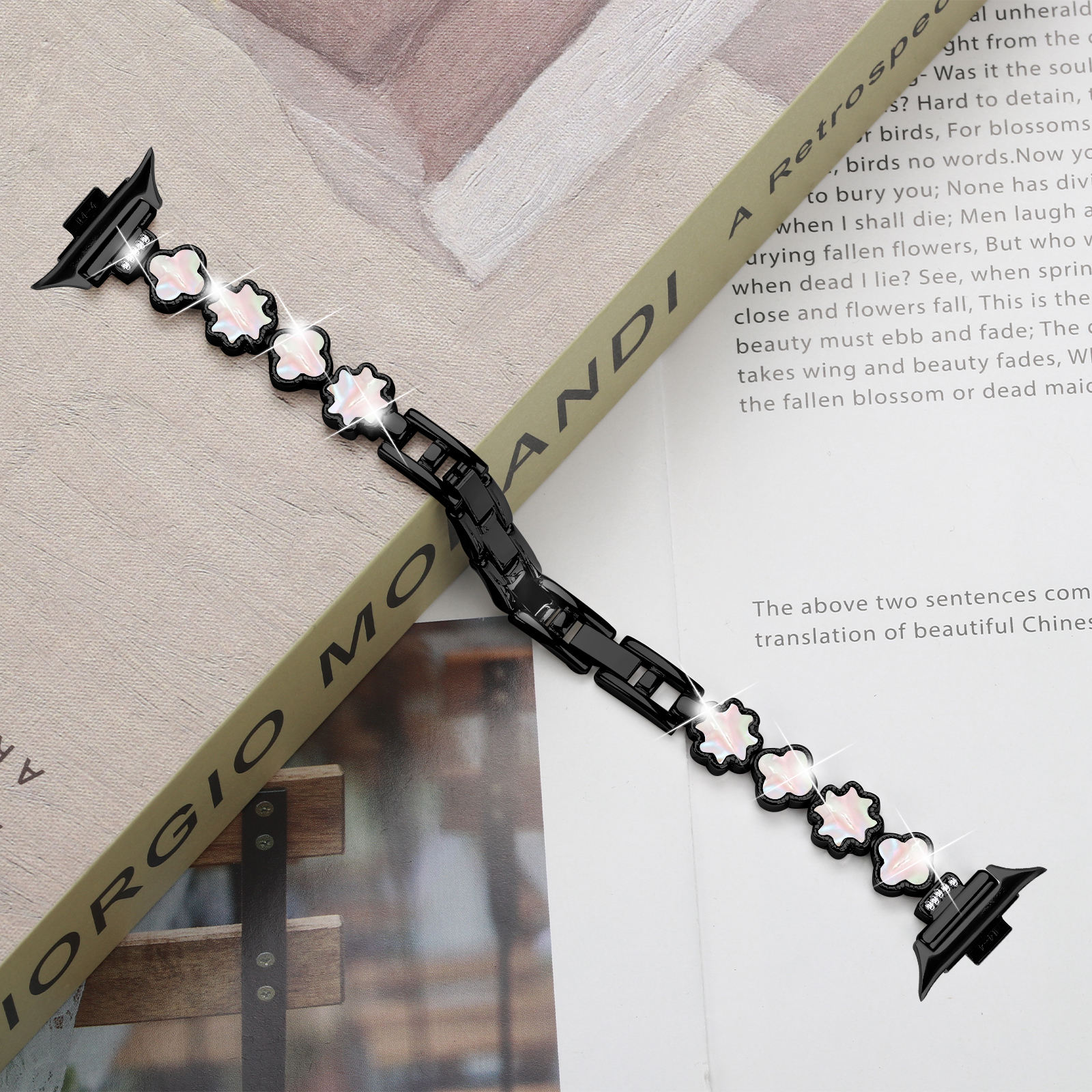 เปลือกหอยสังข์สีดำ