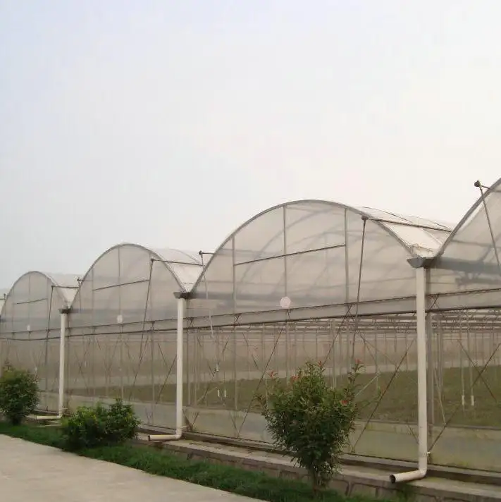 Garten Wholes Multi Span Film Gewächshaus zum Verkauf made in China