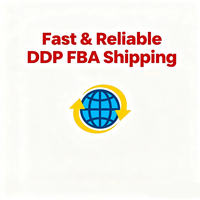 Transport de fret porte-à-porte DDP DDU LCL+Express de Chine vers Erbil, Irak, avec livraison rapide
