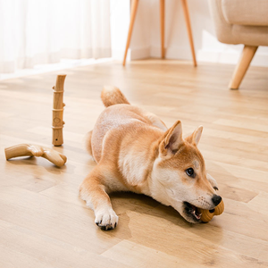 Fabricant de jouets pour animaux de compagnie, jouets à mâcher en bois écologiques résistants aux morsures, nouveaux jouets interactifs pour chiens, jouets d'entraînement moléaire pour chiens - Product Image 6