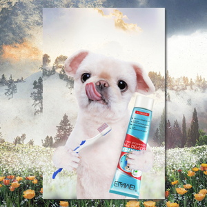 ELAIMEI dentifrice écologique <span class=keywords><strong>pour</strong></span> <span class=keywords><strong>chien</strong></span> chat nettoyage buccal saveur menthe calcul dentaire produits de soins <span class=keywords><strong>pour</strong></span> <span class=keywords><strong>chien</strong></span> <span class=keywords><strong>mauvaise</strong></span> <span class=keywords><strong>haleine</strong></span> - Product Image 3