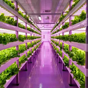 Ces ces/tıbbi bitkiler için 2023 sıcak Hydroponic kutu konteyner çiftlik