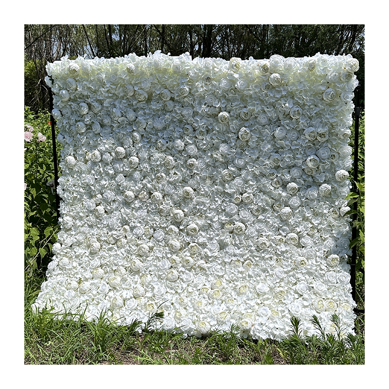 White 01