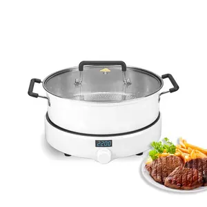 Factory Price 1 Burner Seam Fry Solar Multi Functional Electric 12V 24V DC Round Mini 2000W Induction Cooker