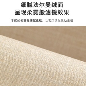 Tapis de salon de couleur unie, rectangulaire, en fibre de polyester, résistant aux taches, lavable, pour usage domestique, tapis de sol à couverture complète - Product Image 4
