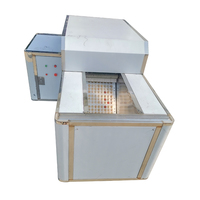 Longan Pitter Machine Abrikozen Pitter Ontpitter Zaadverwijderaar Apparatuur Automatische Kersenpitter