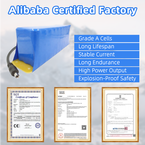 Paquete de batería de iones de litio <span class=keywords><strong>3S10P</strong></span> <span class=keywords><strong>18650</strong></span> 26Ah 12V personalizado para carrito de golf - Product Image 4