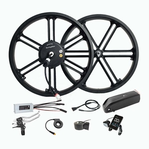 20 Inch Hợp Kim Magiê Trong Bánh Xe Trung Tâm Động Cơ 36V 48V 250W 500W 750W Tích Hợp Động Cơ Bánh Xe <span class=keywords><strong>Kit</strong></span> Cho Ebike - Product Image 4