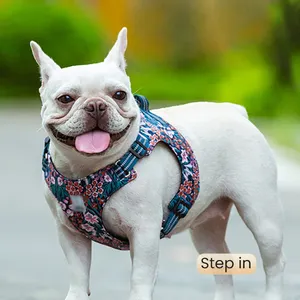 Gilet pour chien facile à porter réglable et réfléchissant imperméable à l'eau avec logo personnalisé de haute qualité, harnais pour chien de luxe design sans traction.