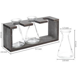 Vases hydroponiques en verre <span class=keywords><strong>avec</strong></span> support en <span class=keywords><strong>bois</strong></span> rétro, 3 béchers en verre, 2026 - Product Image 3