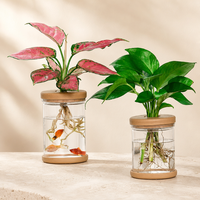 Vase hydroponique en plastique avec aquarium intégré pour affichage clair des racines des plantes, idéal pour la maison et le jardin (vente en gros)