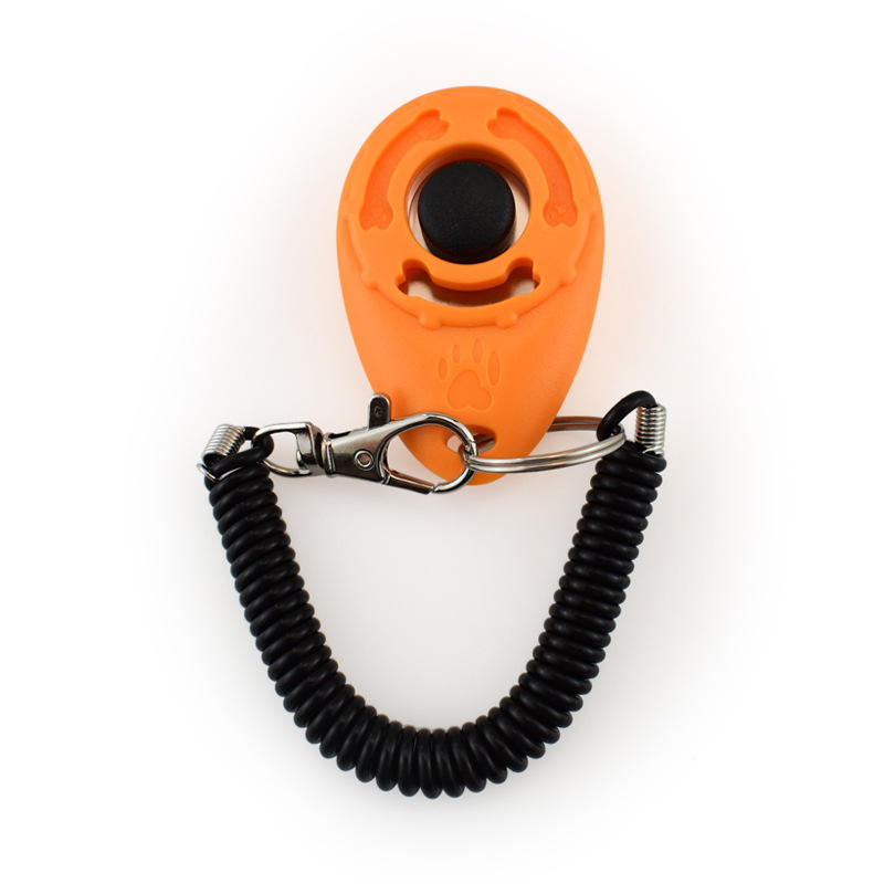 สีส้มอ่อน