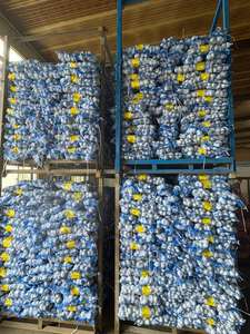 中国サプライヤー卸売価格新鮮なニンニクバルク純粋な白通常の白ニンニク輸出用 - Product Image 2