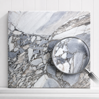 Prix d'une dalle de marbre gris invisible |   Pierre blanche naturelle polie de 18 mm avec des veines de breccia grises prononcées pour les sols et les murs d'hôtels de luxe