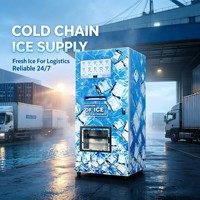 Máquina Expendedora de Hielo Automática Todo en Uno, Sistema de Empaque Automático para Negocios Minoristas