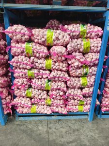 Ajos Chinos: Ajo Blanco Fresco de Cadena de Frío, Entregado Directamente de Fábrica China, Venta al por Mayor de Ajo Fresco - Product Image 2