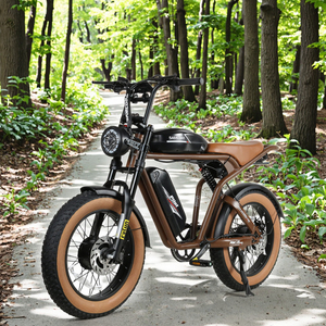 Bicicleta Eléctrica M200-III de 2000W, 48V, 32Ah, con Doble Motor, Suspensión Completa, Batería de Litio de 7S, Llanta Trasera de Aluminio y Neumático Ancho - Product Image 1
