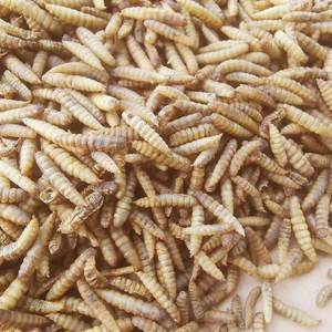化学物質不使用、非遺伝子組み換えのブラックソルジャーフライ乾燥幼虫は、ペットの免疫システムをサポートする完全な栄養を提供します。 - Product Image 1