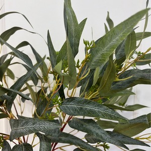 Vente en gros de feuillage artificiel d'eucalyptus hollandais à 4 branches en soie esthétique pour vitrine - Product Image 4