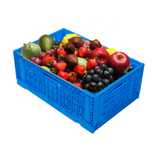 High Quality Industrial Folding Fruit Plastic Collapsible Crate Contrasting Color Storage Box Logistics Box