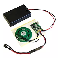 Puce sonore musicale enregistrable sur mesure à bouton-poussoir, activation vocale, durée 30 secondes, MP3/MAV pour cartes de vœux - Vente en gros
