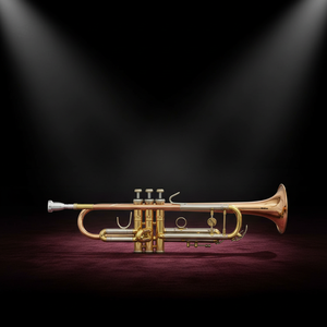 Vente directe d'usine, vente en gros, <span class=keywords><strong>trompette</strong></span> professionnelle <span class=keywords><strong>de</strong></span> haute qualité personnalisable, tonalité Bb - Product Image 5