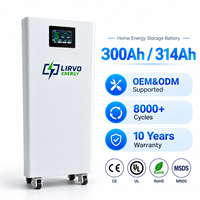LIRVO Vente en gros Batterie Lithium 15 kWh 51.2V 300Ah 314Ah 16 kWh Système Solaire Plug and Play avec Batterie