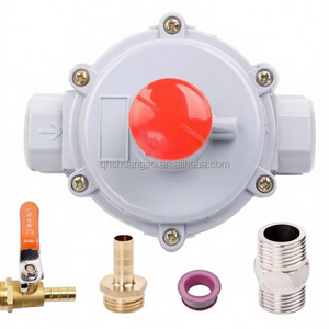 Régulateur de pression pour gaz naturel - Product Image 4