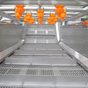 Lavadora de Frutas y Verduras de 4.2 Metros, Totalmente Automática, con Circulación de Agua Ozonizada y Componente Central del Motor - Product Image 1